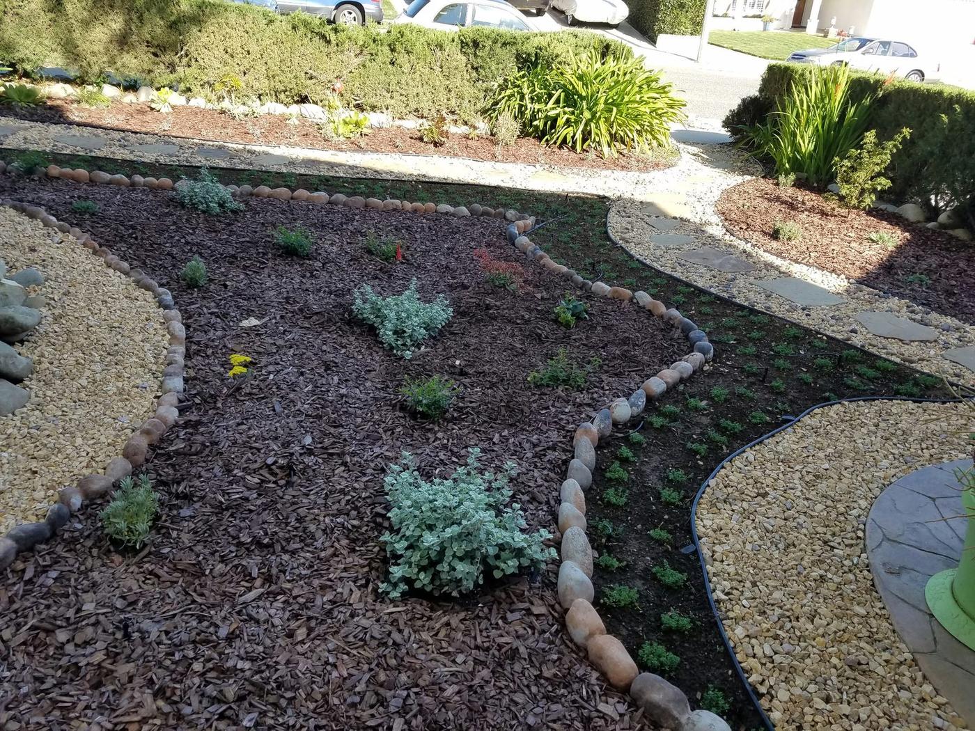 New garden planting